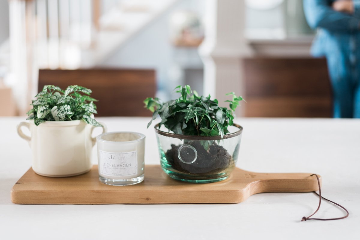 Natural Tapas Plank Set